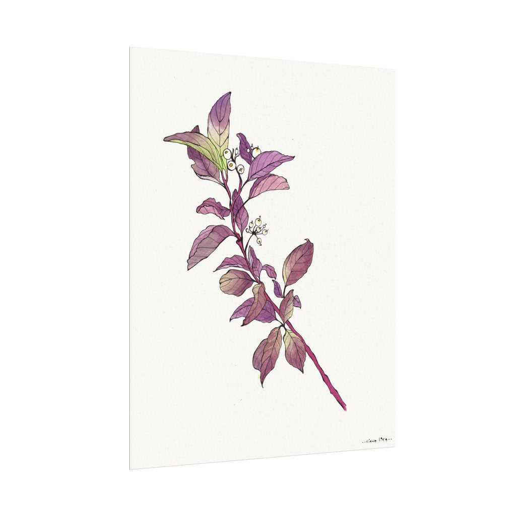 "Snowberry" Watercolor Print - Textured Matte Nature Wall Art