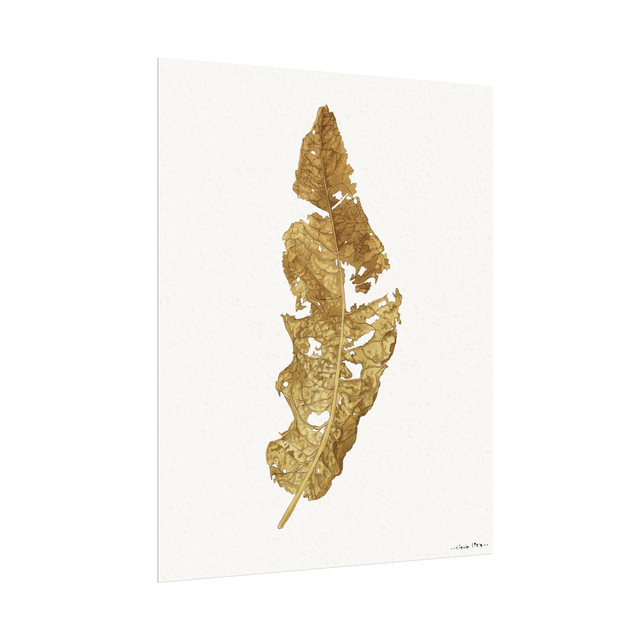 "Wyethia" Leaf Watercolor Print — Textured Matte Botanical Wall Art