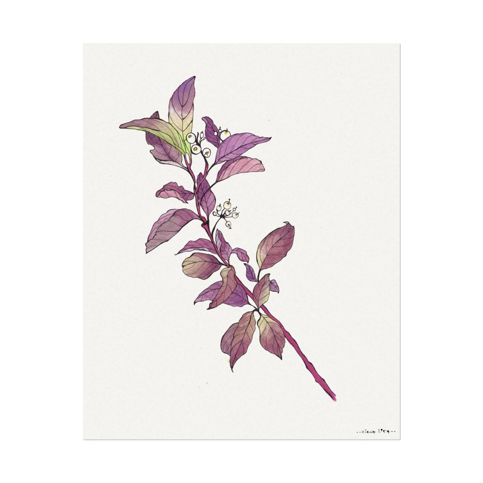"Snowberry" Watercolor Print - Textured Matte Nature Wall Art