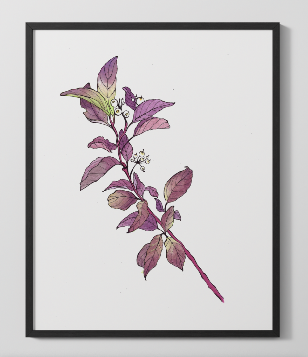 "Snowberry" Watercolor Print - Textured Matte Nature Wall Art