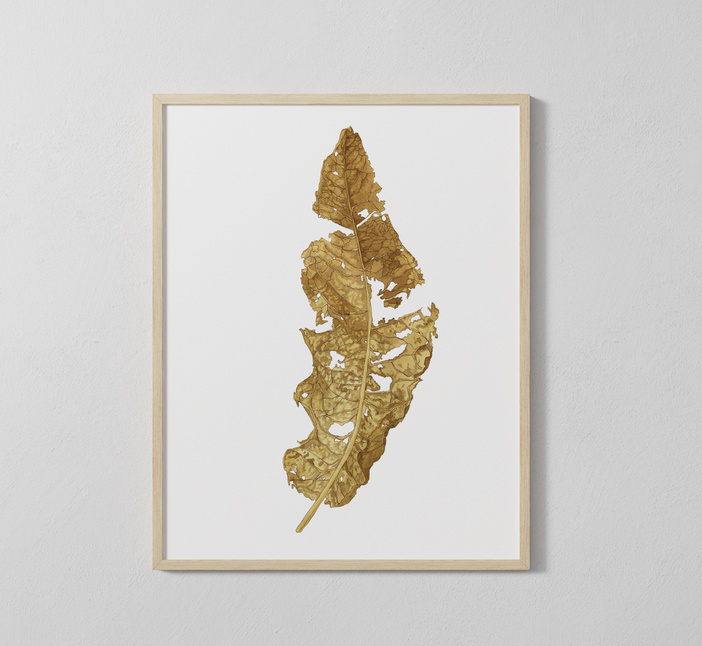 "Wyethia" Leaf Watercolor Print — Textured Matte Botanical Wall Art